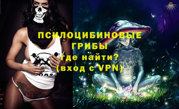 МДПВ Новокубанск